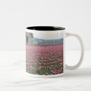 Tasse 2 Couleurs WA, vallée de Skagit, champ de tulipes et grange