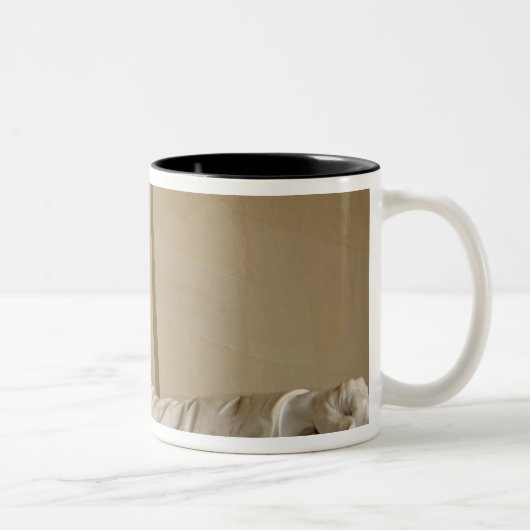 Tasse 2 Couleurs Washington, C.C, le Lincoln Memorial (Droit)
