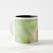 Tasse 2 Couleurs Washington, Etats-Unis (Devant gauche)