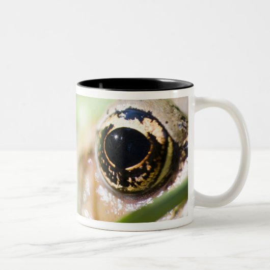 Tasse 2 Couleurs Washington, Etats-Unis (Droit)
