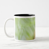 Tasse 2 Couleurs Washington, Etats-Unis (Gauche)