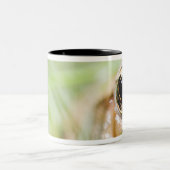 Tasse 2 Couleurs Washington, Etats-Unis (Centre)