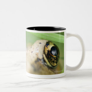 Tasse 2 Couleurs Washington, Etats-Unis 2