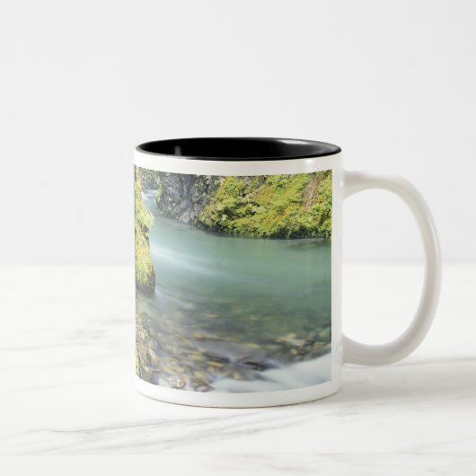 Tasse 2 Couleurs Washington, Olympic National Park, saison (Droit)