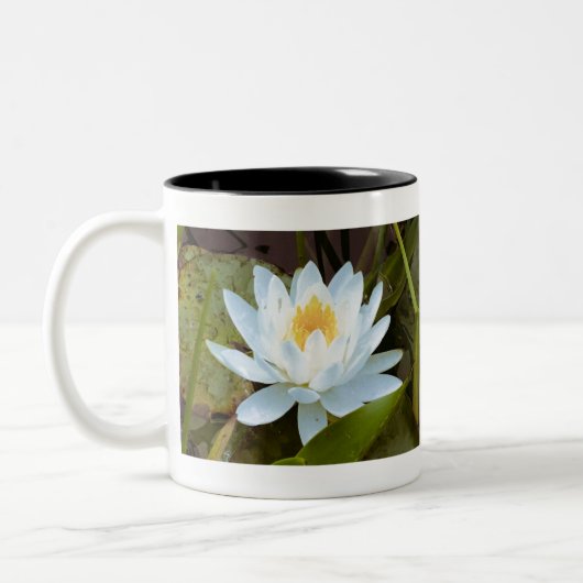 Tasse 2 Couleurs Water Lilly (Gauche)