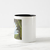 Tasse 2 Couleurs Water Lilly (Centre)