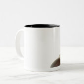 Tasse 2 Couleurs Weimaraner 2 (Devant gauche)