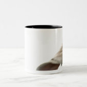 Tasse 2 Couleurs Weimaraner 2 (Centre)