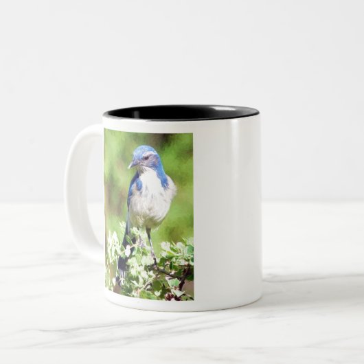 Tasse 2 Couleurs Western Scrub Jay (Devant gauche)