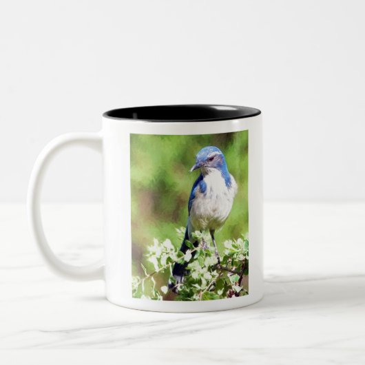 Tasse 2 Couleurs Western Scrub Jay (Gauche)