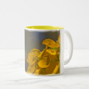 Tasse 2 Couleurs Western Wallflower