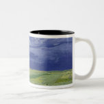 Tasse 2 Couleurs Wheatfields de Vincent van Gogh | sous le nuage<br><div class="desc">Wheatfields sous les nuages noirs,  1890 % pipe% par emplacement d'art de Vincent van Gogh | : Musée de Van Gogh,  Amsterdam,  le nombre de collection | néerlandais néerlandais d'image de l'artiste | : XIR253144</div>