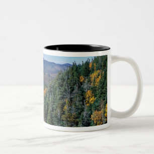 Tasse 2 Couleurs White Mountain N.F., NH. La vue de près