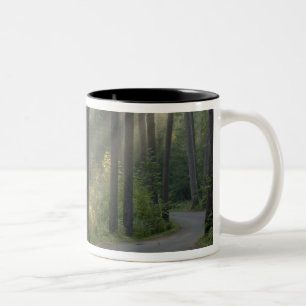 Tasse 2 Couleurs Wilderness Drive, parc d'état d'Itasca,