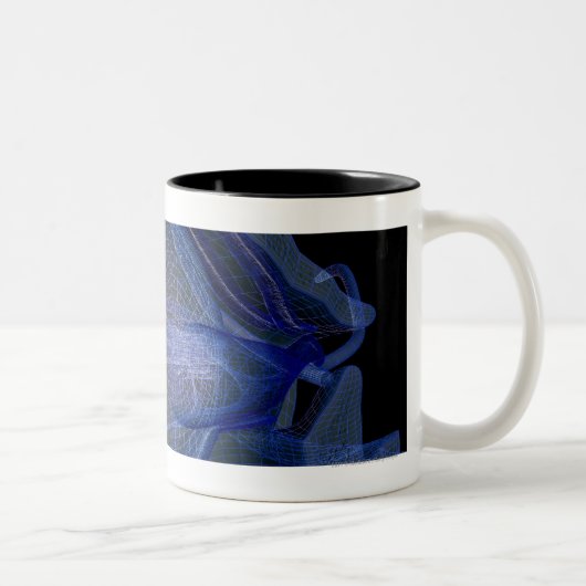 Tasse 2 Couleurs wireframe 3d des muscles d'oeil dans une orbite (Droit)