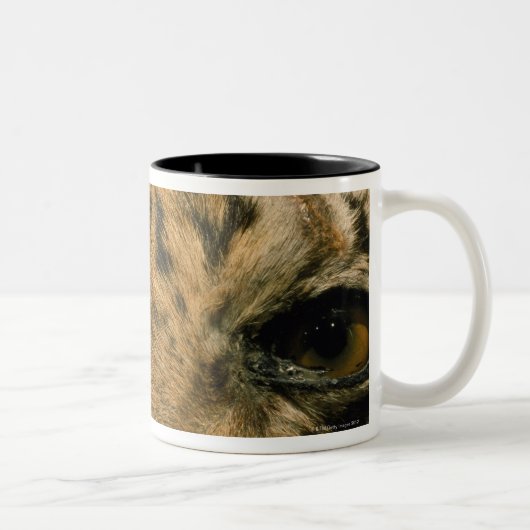 Tasse 2 Couleurs Yeux de tigre (Droit)