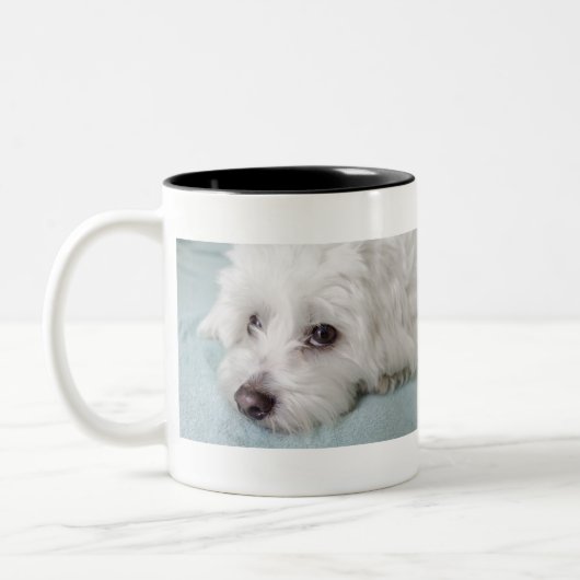 Tasse 2 Couleurs Yeux de Tulear Puppy de coton (Gauche)