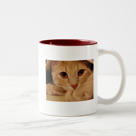 Tasse 2 Couleurs Yeux oranges (Droit)