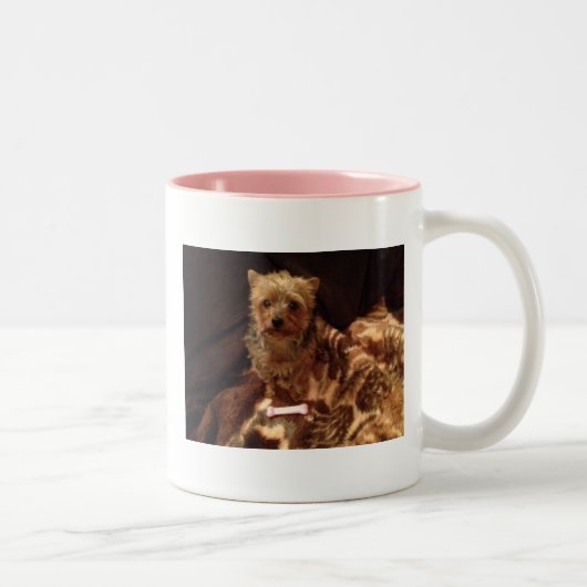 Tasse 2 Couleurs Yorkie (Droit)