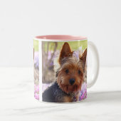 Tasse 2 Couleurs Yorkshire Terrier (Devant droit)