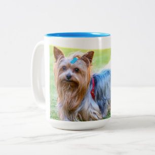 Tasse 2 Couleurs Yorkshire Terrier Yorkie race préférée 