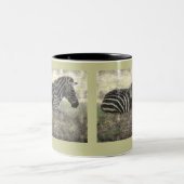 TASSE 2 COULEURS ZEBRA ASSIS AU SOL /PHOTOG/ DIG.MANIP (Centre)