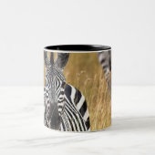 Tasse 2 Couleurs Zèbres dans l'herbe grande (Centre)