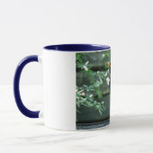 Tasse #2 de merle (Gauche)