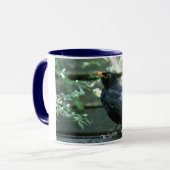 Tasse #2 de merle (Devant gauche)