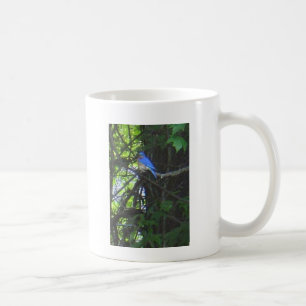 Tasse 2 de photo d'oiseau bleu