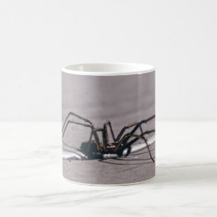 Tasse à café araignée