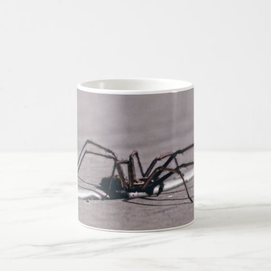 Tasse à café araignée (Centre)