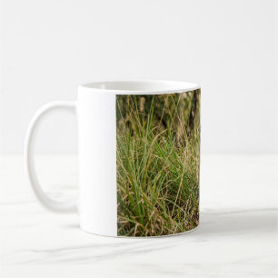 Tasse à café avec bébé tigre assis dans l'herbe