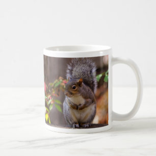 Tasse à café avec écureuil mendiant patiemment