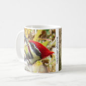 Tasse à café avec Pic à tête rouge (Devant gauche)