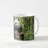 Tasse à café Bébé Panda mangeant du bambou (Devant droit)