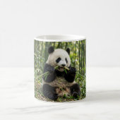 Tasse à café Bébé Panda mangeant du bambou (Centre)