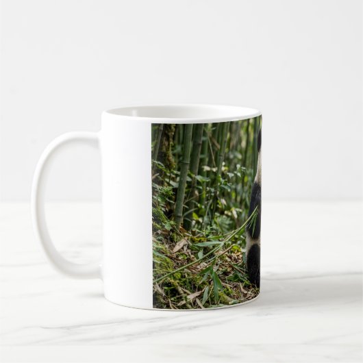 Tasse à café Bébé Panda mangeant du bambou (Gauche)