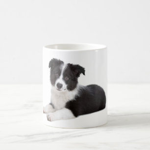 Tasse à café Chien Border Collie chiot Amour