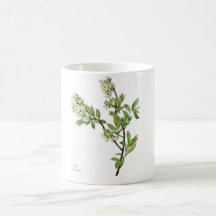 Tasse à café fleur de myrtille