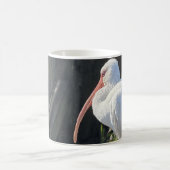 Tasse à café Ibis ensoleillé (Centre)