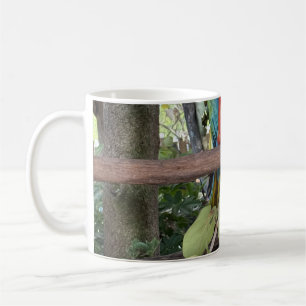 Tasse à café Macaw