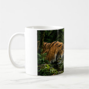 Tasse à café Tigre buvant dans un bassin de la jun