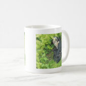 Tasse à lunettes d'ours, collection d'animaux (Devant droit)