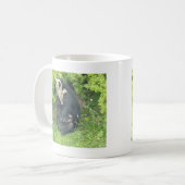 Tasse à lunettes d'ours, collection d'animaux (Devant gauche)