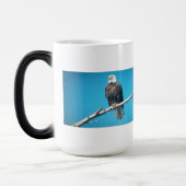 Tasse à morphing de couleur d'aigle royal (Gauche)