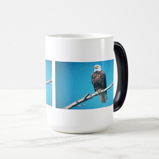 Tasse à morphing de couleur d'aigle royal (Devant droit)