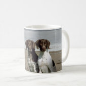 Tasse allemande d'indicateur aux cheveux courts (Devant droit)