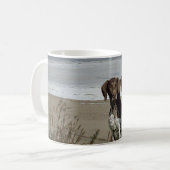 Tasse allemande d'indicateur aux cheveux courts (Devant gauche)