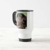 Tasse allemande d'indicateur aux cheveux courts (Devant gauche)